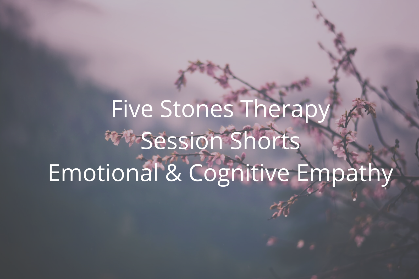 Emotional Cognitive Empathy Five Stones Therapy Emotional Cognitive Empathy Five Stones Therapy