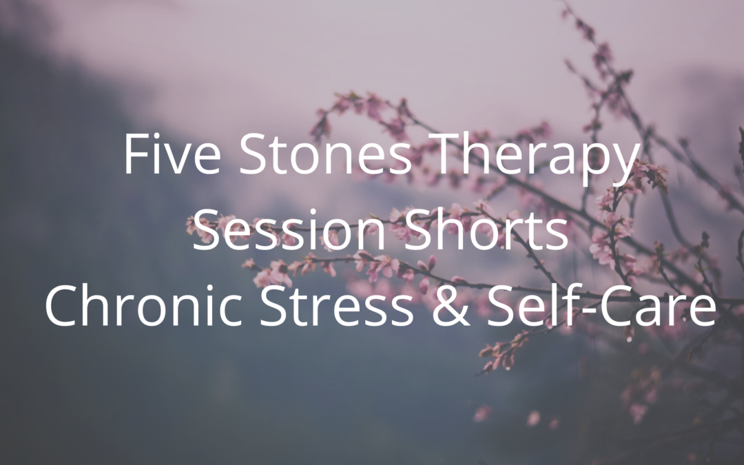Chronic Stress & Self-Care