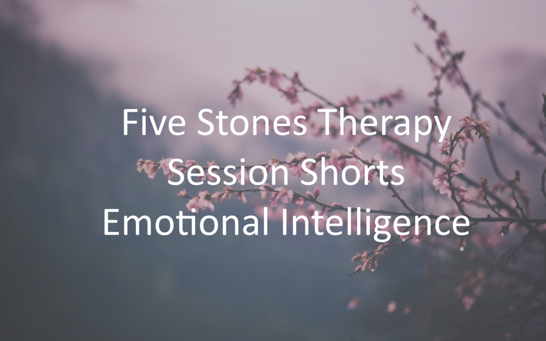 Emotional Intelligence