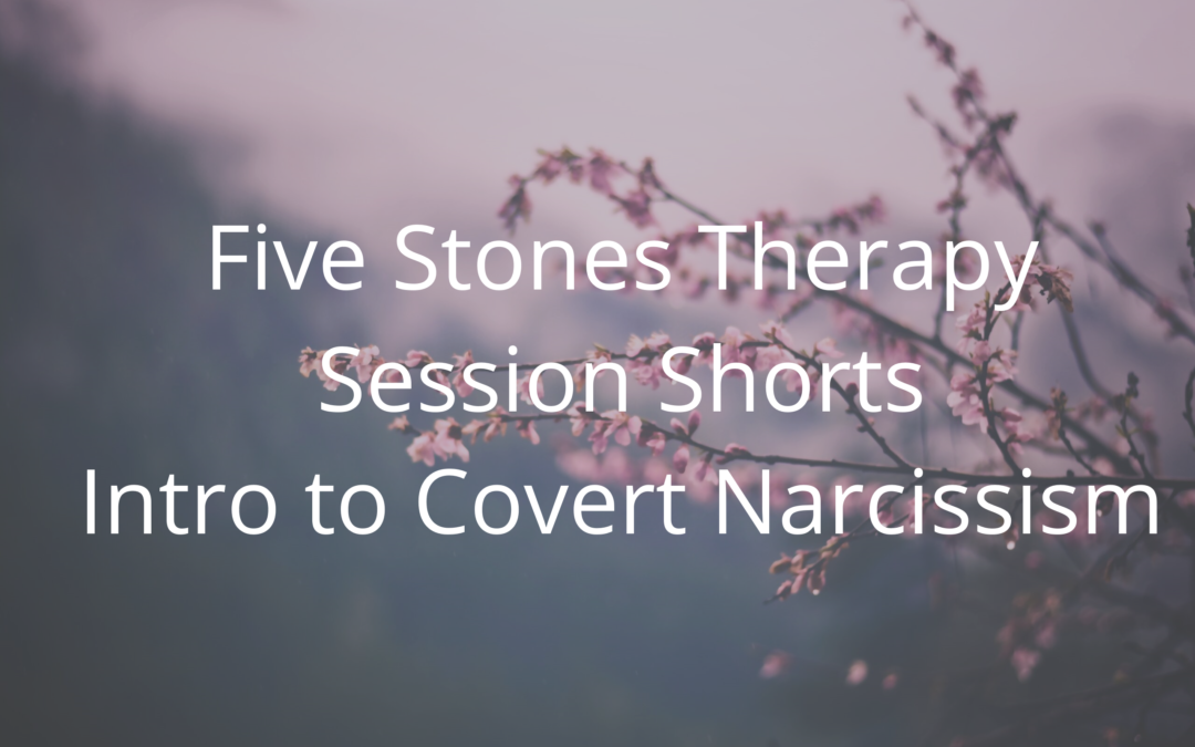 Intro to Covert Narcissism