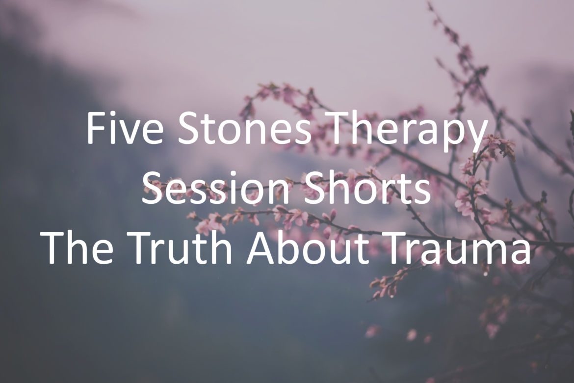 The Truth About Trauma - Five Stones Therapy