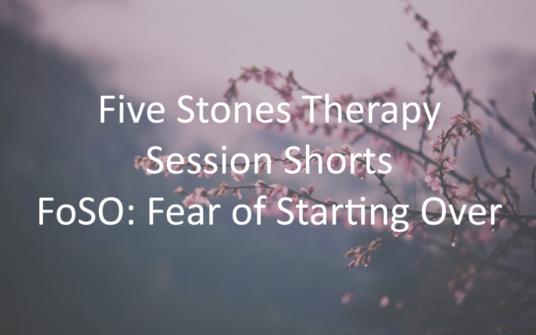 FoSO: Fear of Starting Over